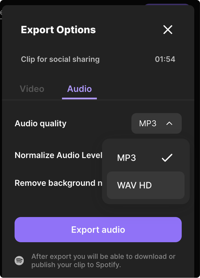 export-audio-modal.png