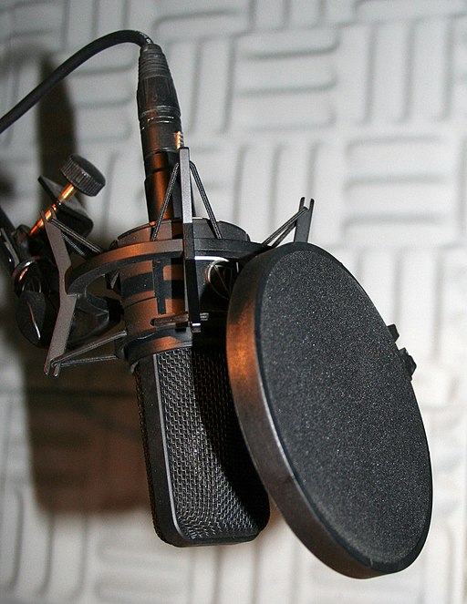 Studio_mikrofon_mit_pop_filter_crop.jpg